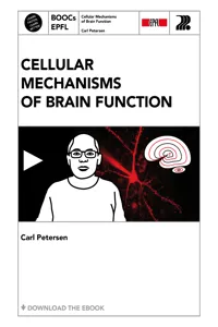 Cellular Mechanisms of Brain Function_cover