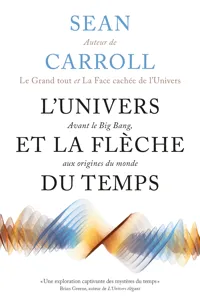 L'Univers et la flèche du temps_cover