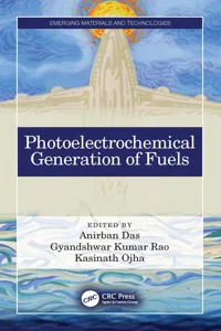 Photoelectrochemical Generation of Fuels_cover