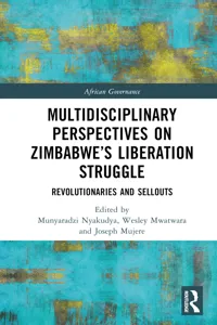Multidisciplinary Perspectives on Zimbabwe's Liberation Struggle_cover