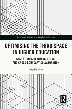 Optimising the Third Space in Higher Education