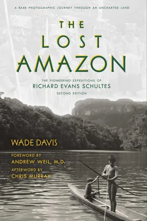 The Lost Amazon