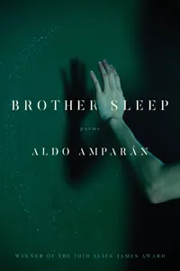 Brother Sleep_cover