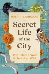 Secret Life of the City_cover