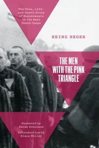 The Men With the Pink Triangle_cover