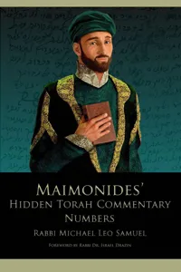 Maimonides' Hidden Torah Commentary -- Volume 4 - Numbers_cover