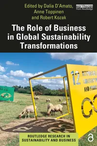 The Role of Business in Global Sustainability Transformations_cover