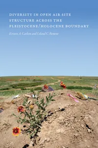 Diversity in Open-Air Site Structure across the Pleistocene/Holocene Boundary_cover