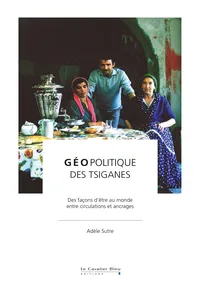 Géopolitiques des tsiganes_cover