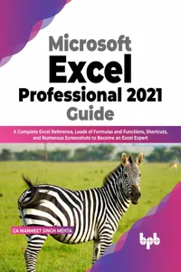 Microsoft Excel Professional 2021 Guide_cover