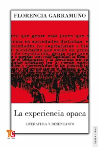 La experiencia opaca_cover