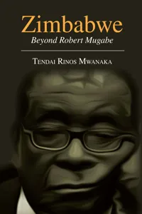 Zimbabwe: Essays, Non Fictions and Letters_cover