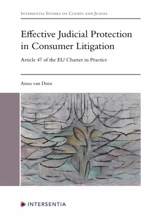 Effective Judicial Protection in Consumer Litigation