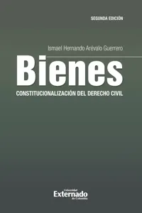 Bienes: constitucionalización del derecho civil_cover