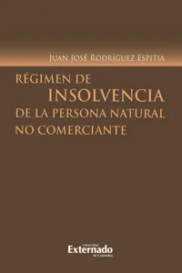 Régimen de insolvencia de la persona natural no comerciante_cover