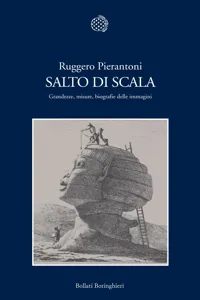 Salto di scala_cover