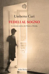 Fedeli al sogno_cover