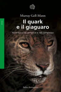 Il quark e il giaguaro_cover