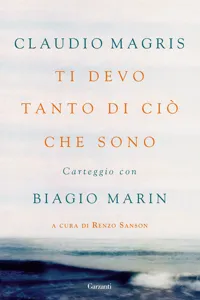 Ti devo tanto di ciò che sono_cover