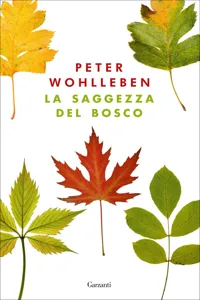 La saggezza del bosco_cover