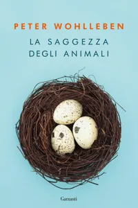 La saggezza degli animali_cover