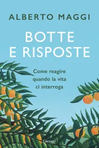 Botte e risposte_cover