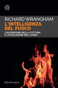 L'intelligenza del fuoco_cover