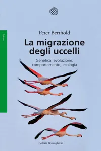 La migrazione degli uccelli_cover