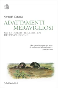 Adattamenti meravigliosi_cover