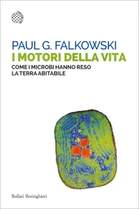 I motori della vita_cover