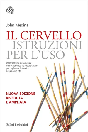 Il cervello