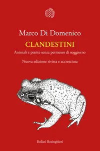 Clandestini_cover