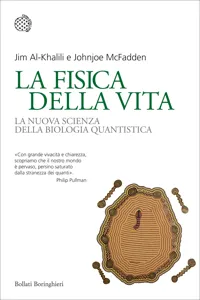 Bollati Boringhieri Saggi_cover