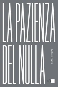 La pazienza del nulla_cover