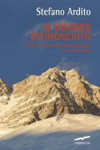 Il gigante sconosciuto_cover