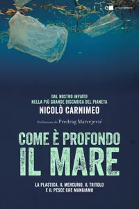 Come è profondo il mare_cover