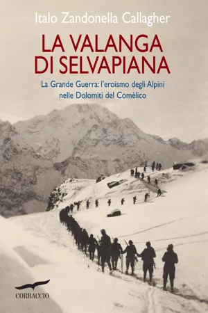 La valanga di Selvapiana