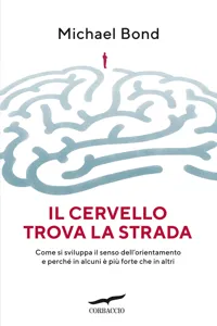 Il cervello trova la strada_cover