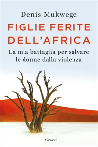 Figlie ferite dell'Africa_cover