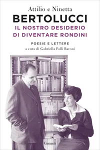 Il nostro desiderio di diventare rondini_cover