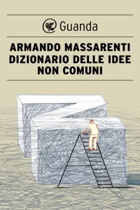 Dizionario delle idee non comuni_cover