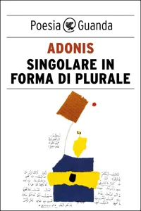 Singolare in forma di plurale_cover