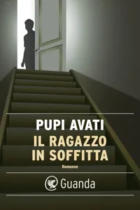 Il ragazzo in soffitta_cover