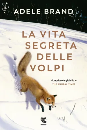 La vita segreta delle volpi