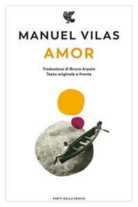 Amor_cover