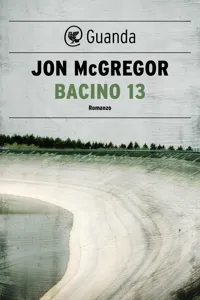 Bacino 13_cover