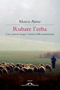 Rubare l'erba_cover