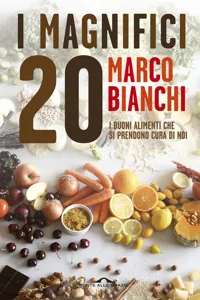 I Magnifici 20_cover