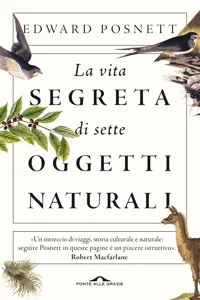 La vita segreta di sette oggetti naturali_cover