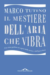 Il mestiere dell'aria che vibra_cover